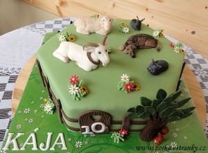70.-dort-se-zviratky.jpg